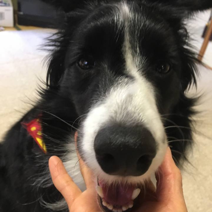 Da961cf2 ec15 4f09 bef6 47aa8f751aee 1520142374582