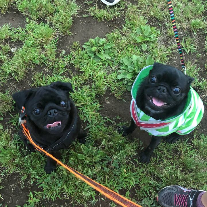 Da963d12 02d2 42e9 a760 0ee6d612dca1 1623039123082