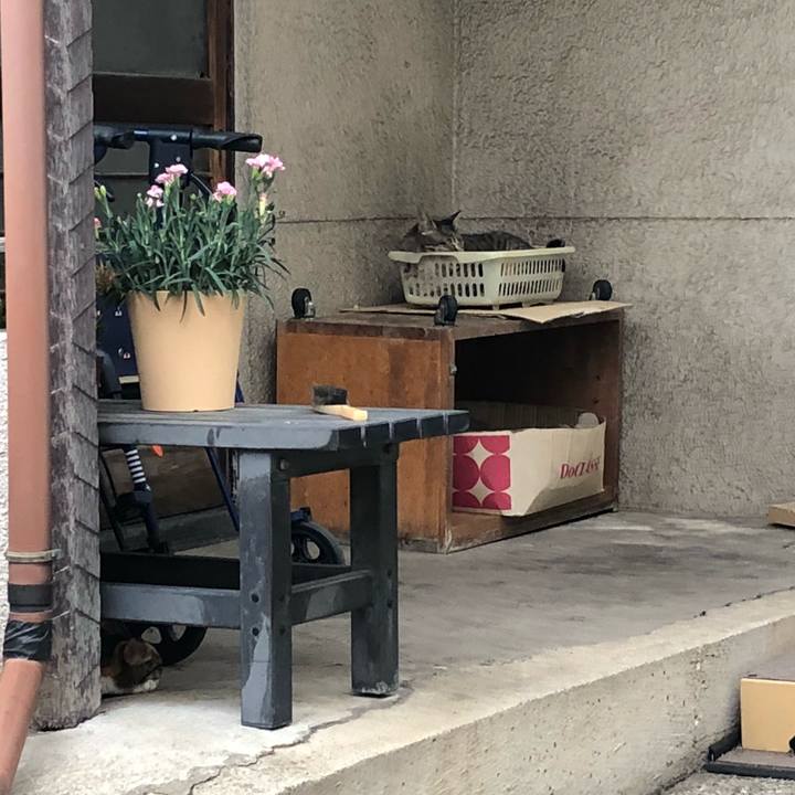 Da963de4 da39 4996 9e66 7ddbf2f60d48 1531323315508