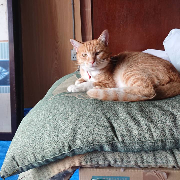 Da963ffb a6c6 4297 872d d619ad248a87 1570252561850