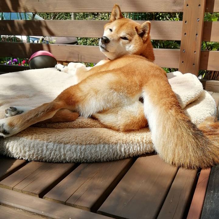 Da96696f 966b 49e2 b146 a01791396777 1649466099003