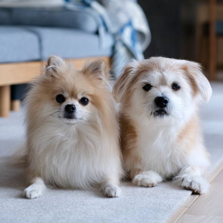 Da96bfaa b4e4 4ef4 a192 2ff1756a51d7 1762640436216