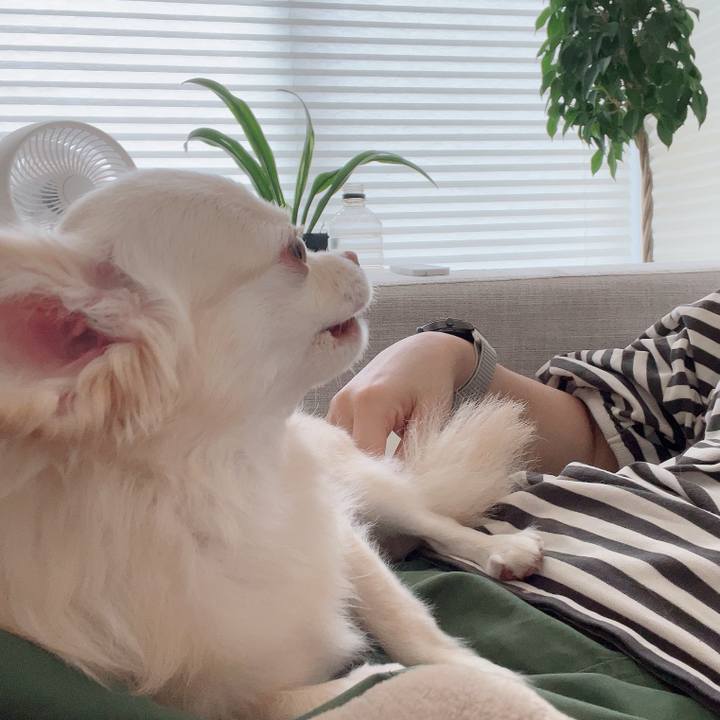 Da96cd95 ae25 4c1a 8f26 4118db0d06db 1728017856112