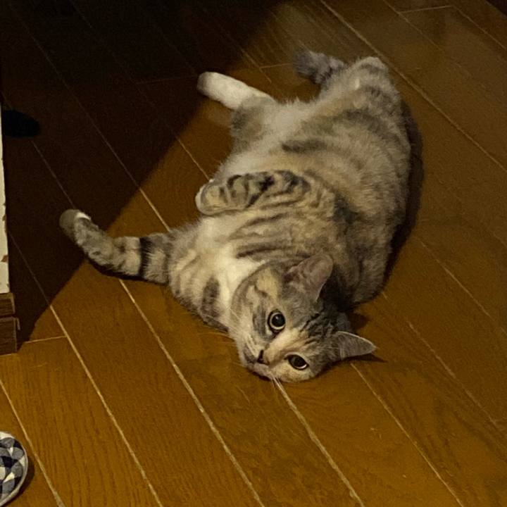 Da96e66b 0611 4b70 914f f574ad51e142 1656858441719