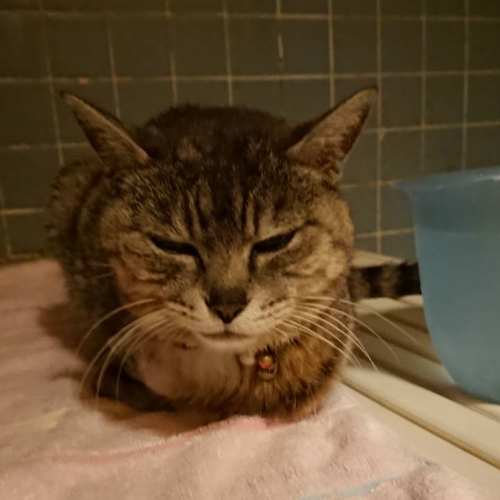 Da971e70 9733 4007 a0fb 3b6e2b7c26ab 1590402741414