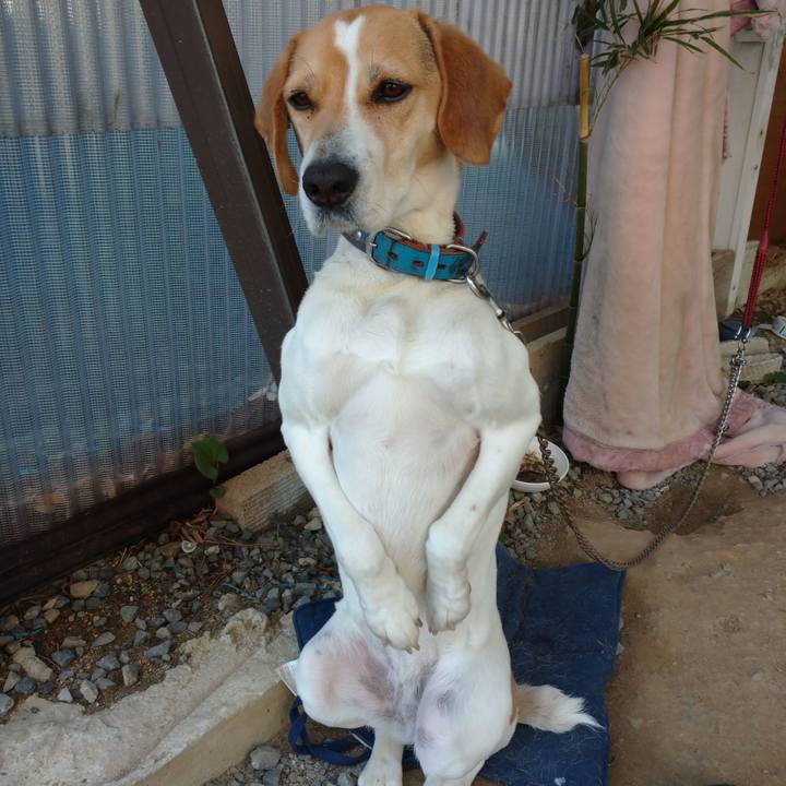 Da97254f 3f36 4618 ad8c 19cc9708c1a8 1617509034148