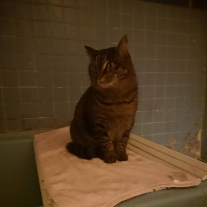 Da972687 84ad 49dc be15 3f4231afdc36 1643622560272