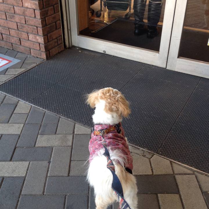 Da975110 6de8 4a7e 8986 76f5a16cdaed 1514586718928