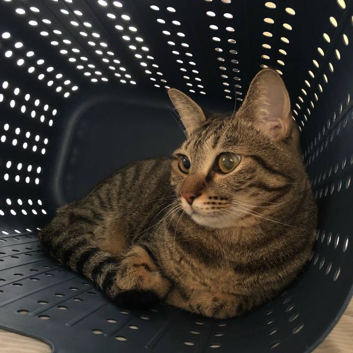 Da9775ed 3d6c 4f0e 91e5 9e61030bd50e 1536333125603