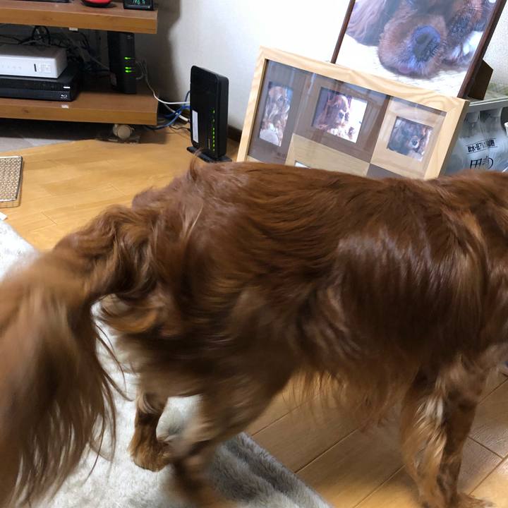 Da979453 bc7c 4c82 8b08 beeb2d8aacad 1526815245925