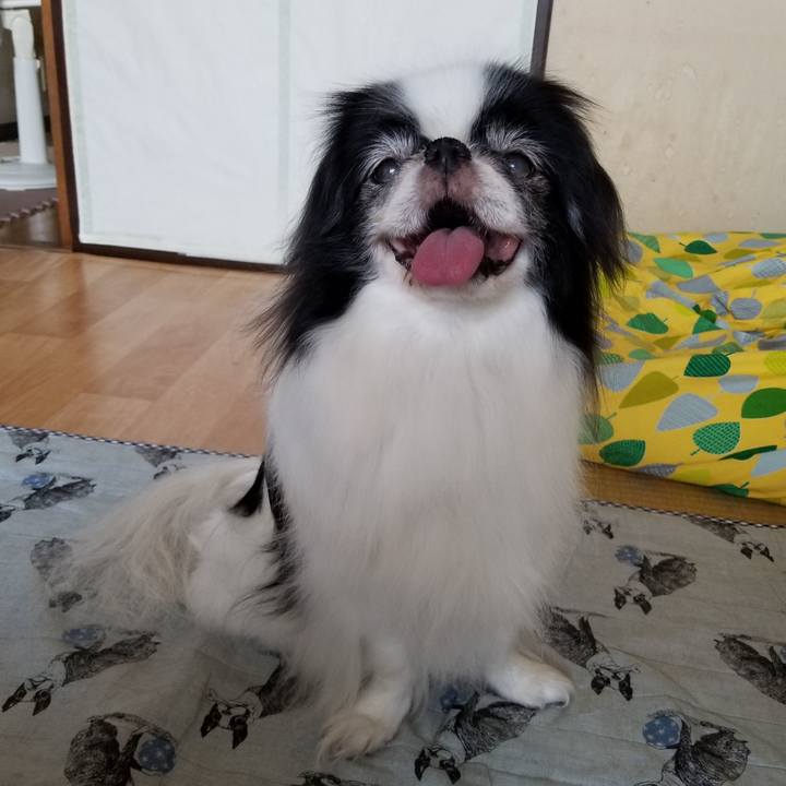 Da97bd93 c6cb 4490 8a50 312c4e6be85d 1533377353481