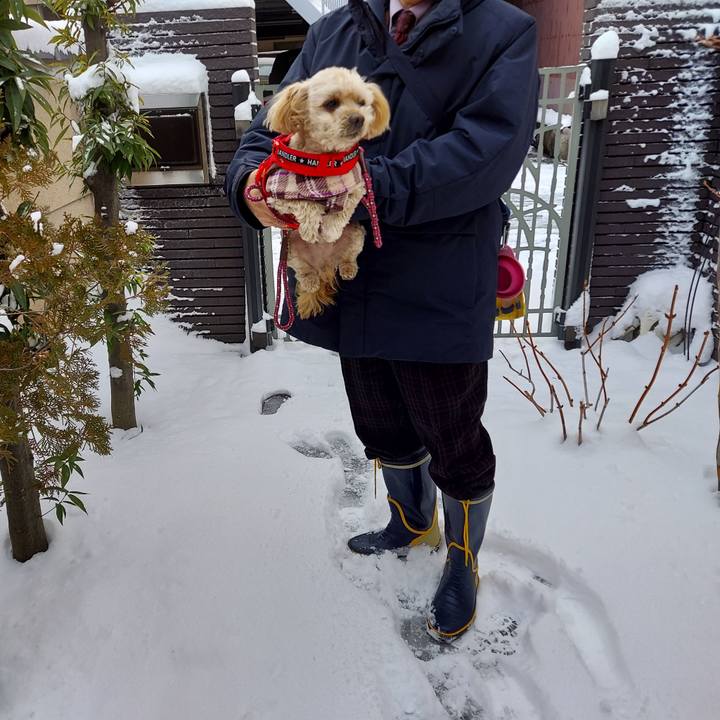 Da9832d6 b799 4703 995b fb92c50b71e9 1674602334626