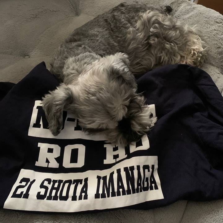 Da984a65 d580 49ec b490 4c146a4a1d0f 1679457529457