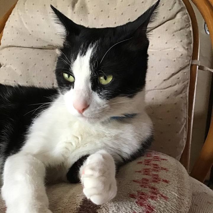 Da987442 cc6a 4b13 bc24 8c017cee6455 1714373577238