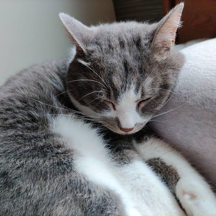 Da987633 eb2d 4562 9f21 af6603e8a225 1686441068492