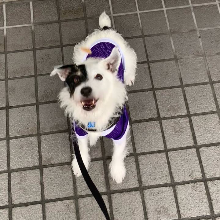 Da98a8ad 0754 4340 b207 0fe965551636 1727739164668