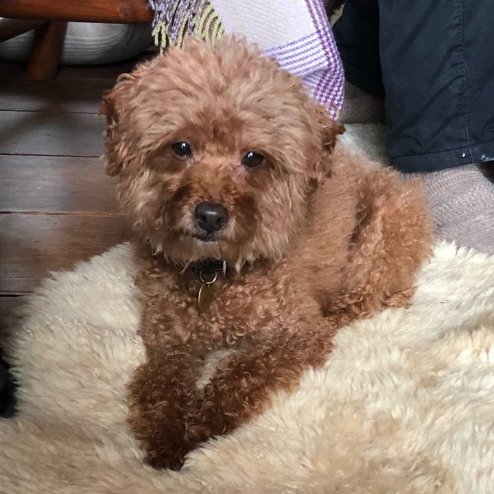 Da98c2bc 7fd0 4e8c 84ac 02507526e527 1581165329890