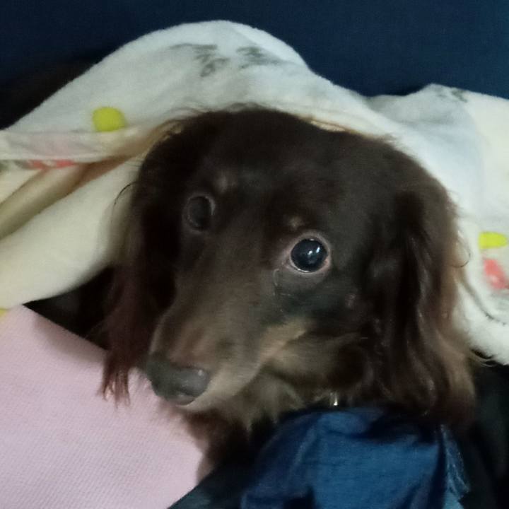 Da997f8e 6e68 4e8d 9840 d267c1cc71c9 1762033295875