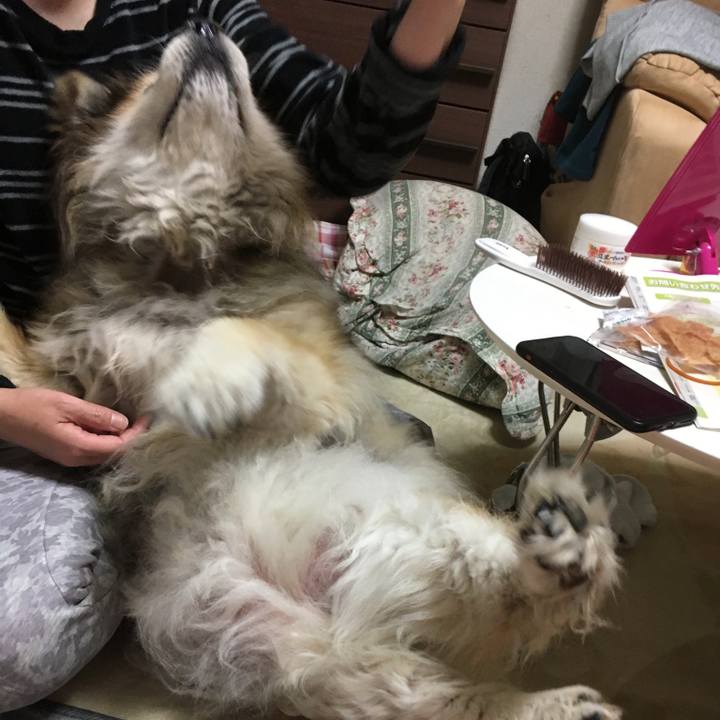 Da99b838 aaf4 4b14 9d3a d36829202d88 1614215838203