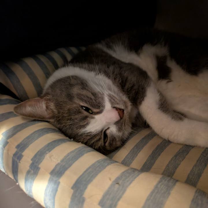 Da9a82e1 ad87 4c6e b4a0 f59ce670deda 1745211143722