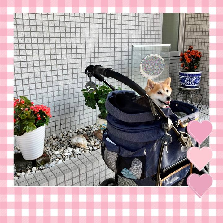 Da9ab755 2dca 4693 98ba 4b603ba3bce4 1661603127378