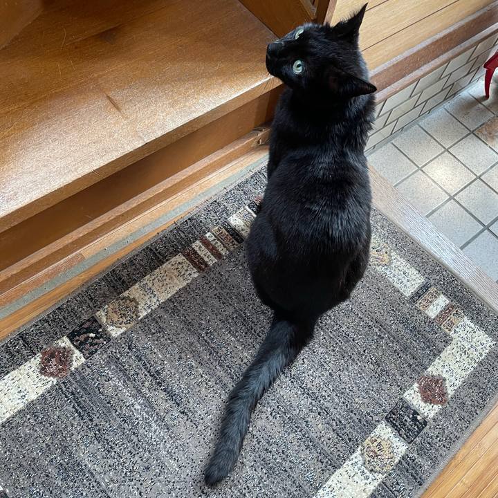 Da9ae18e 25a6 4112 8744 df645cbc2f80 1653443922003