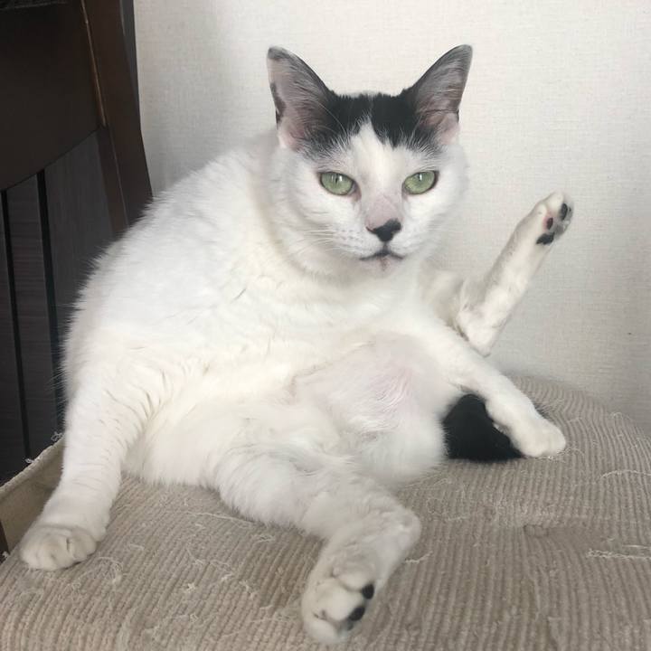 Da9af723 663d 46f9 9a41 360c9e339ec1 1590411907017