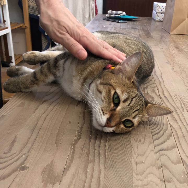 Da9b1a89 b73d 44a9 bbe6 51791cd2971b 1663132448458