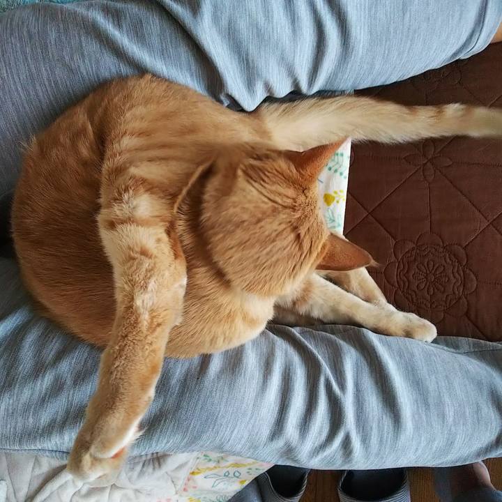 Da9b294d 1034 4dea a016 7aab1560daa7 1622021168011