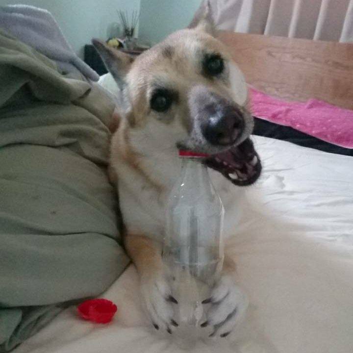 Da9b3c3d 5e5a 4002 a929 aa4012e5d63e 1517716881559