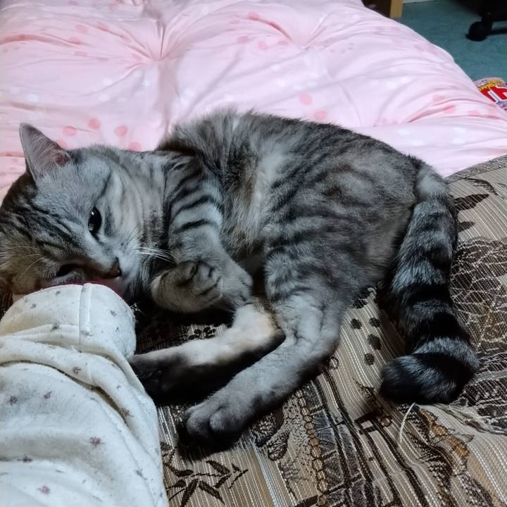 Da9b486e 4566 4629 98b3 c3f9e1b351e2 1617459428973