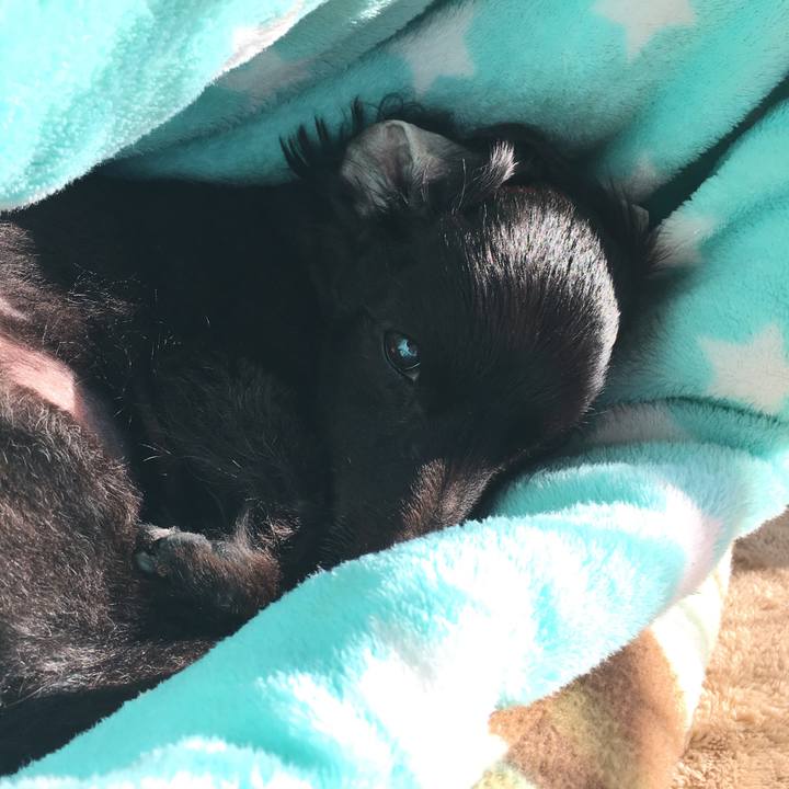 Da9bea36 7f2f 4488 8ecf cde5ed301e45 1553637765924