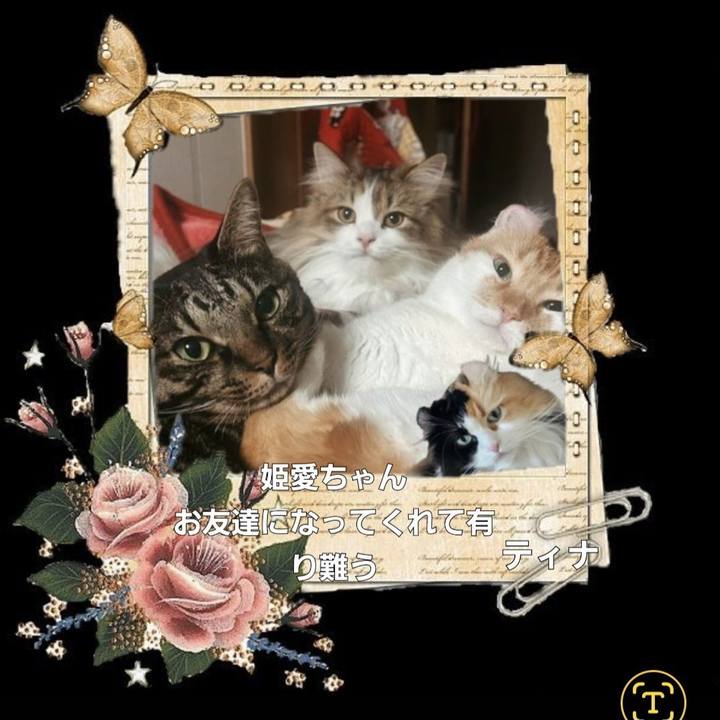 Da9c2691 c855 4ab8 a745 b8cb9dcd7b4c 1761986424574