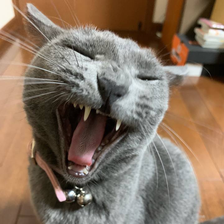 Da9c6e65 dccc 43db 8a0c f4d53d37749c 1571972638752