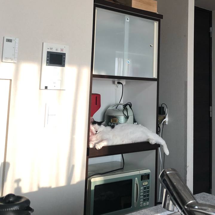 Da9c8507 709c 4466 afa4 d9f460261365 1601610216493