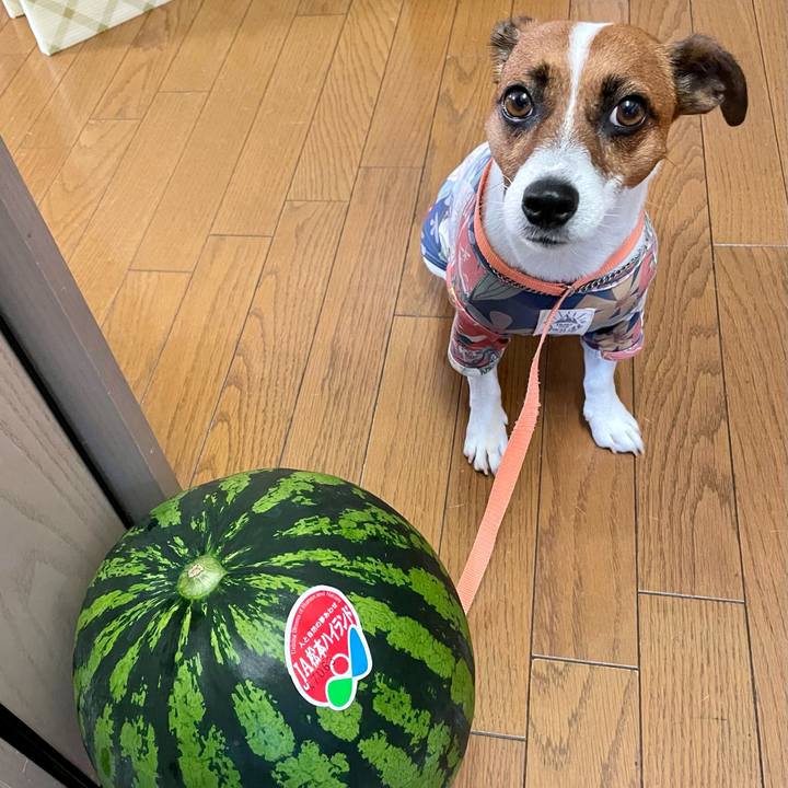 Da9ccc76 f85a 49b7 ab72 2f74b83e1b88 1633691921173