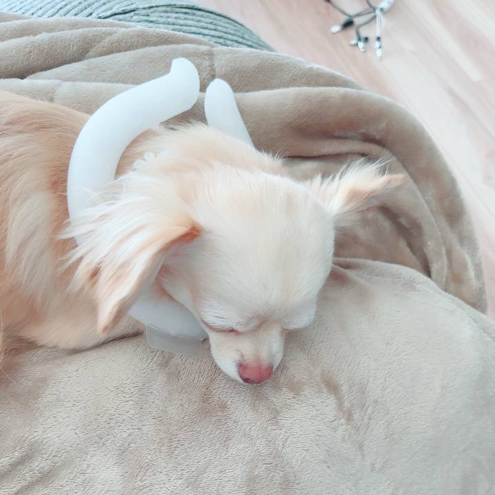 Da9ccded 47c3 47c3 a51d 9a015ed802b9 1691553369986