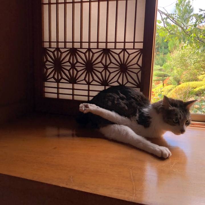 Da9cd53c 0ee6 4211 aa66 9b957304032d 1759269774065