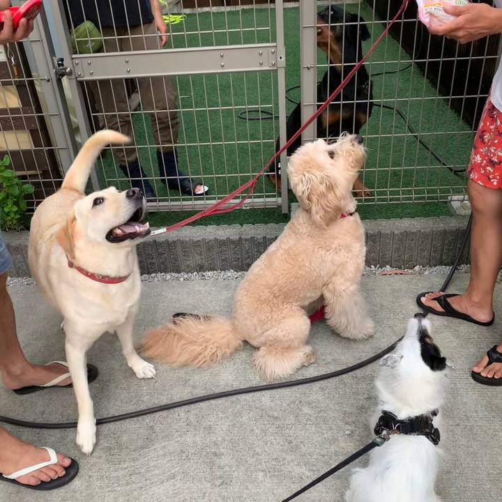 Da9ce28f f9d4 446a 846d 87219888201f 1720255185753