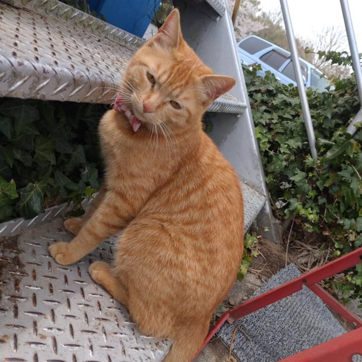 Da9cee22 102a 4041 8e17 9a4d10e3c506 1744340009172