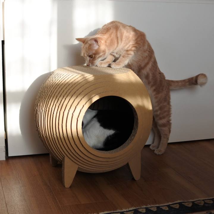 Da9d5458 c824 4c4a 800c 659305f16150 1578724729874