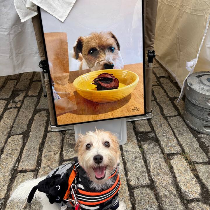 Da9d739e 4968 40cf 91ed 484feafa25ac 1760275084004