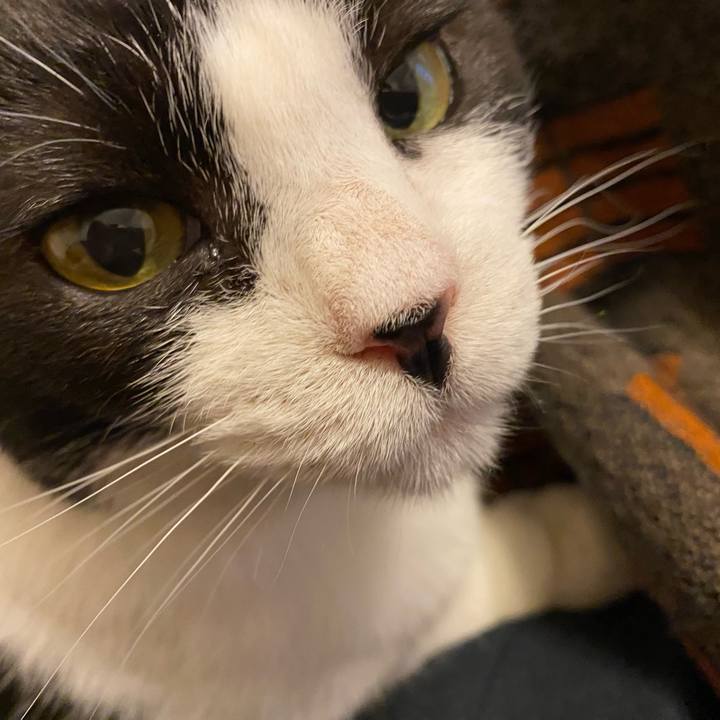 Da9d80a5 5b7e 4380 a664 5a37657056f4 1769858622262