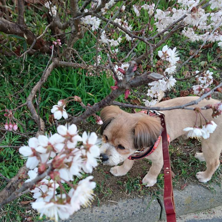 Da9d9e09 b172 424e b391 c1c35de8b25b 1520759911469