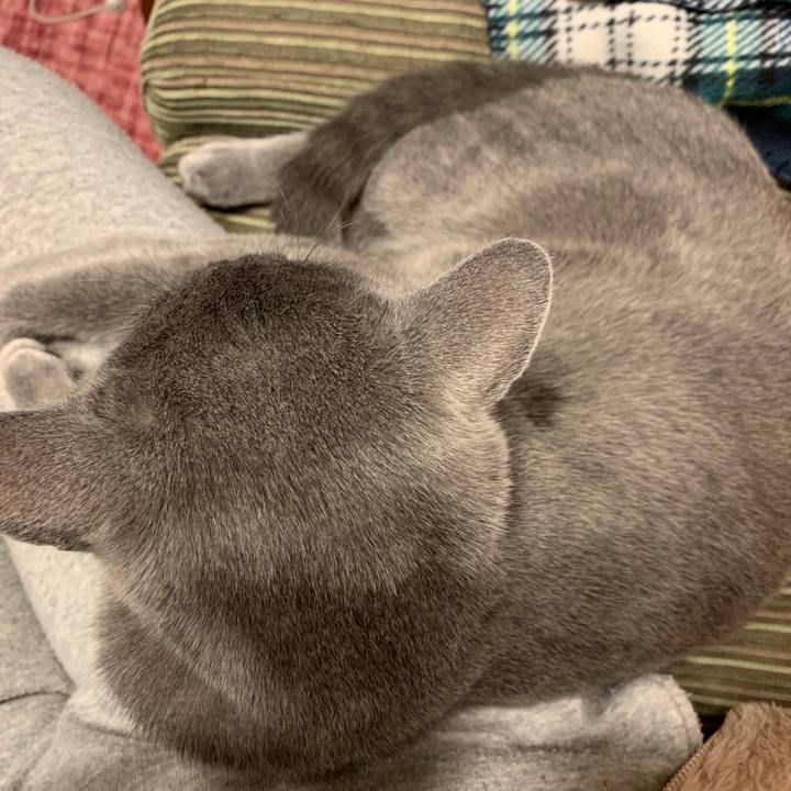 Da9da56e fd15 4031 bd0f e5704e25c07e 1581715109099