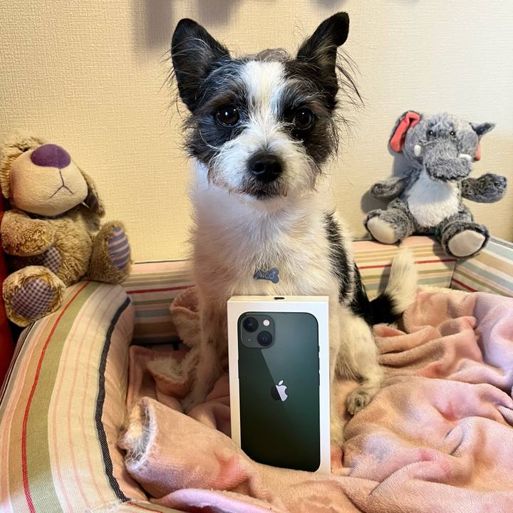 Da9dd711 7e57 42b3 ab87 e26ef173c256 1647838069741