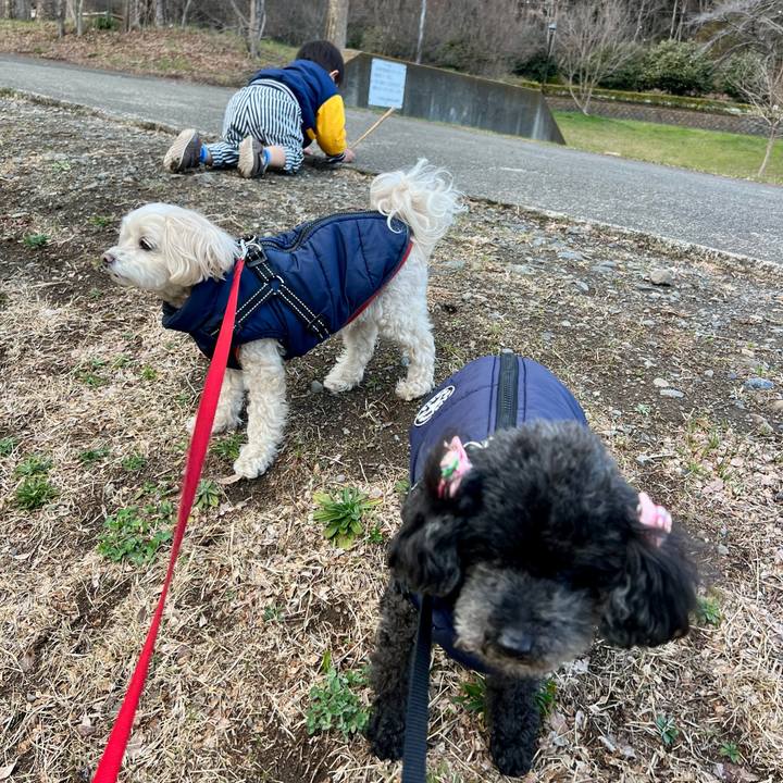 Da9e1da7 c5ca 4bb5 9661 3d343ea000a1 1772097644054