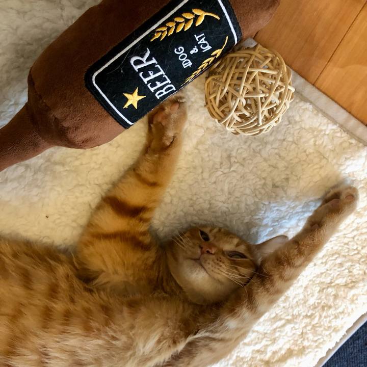 Da9e70bd 795e 46d9 aaa0 e585d2ccda81 1734302726455