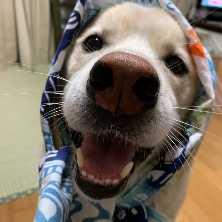 Da9e87f1 f9c0 4ae6 a158 3d76d3a3fe7b 1623845129974