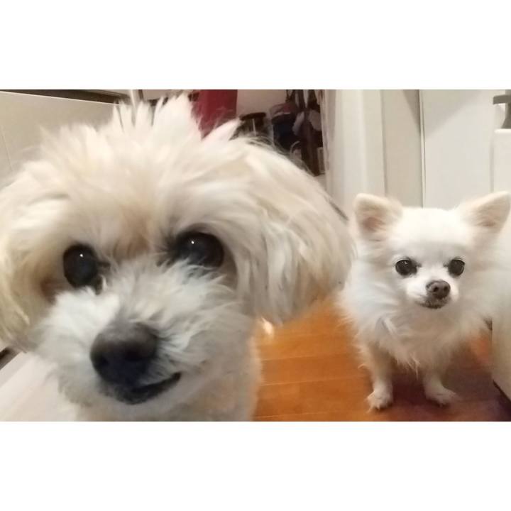 Da9eb091 109c 4863 830c 904a7f3f5d38 1683209961596